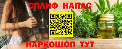 хмурый Дубна