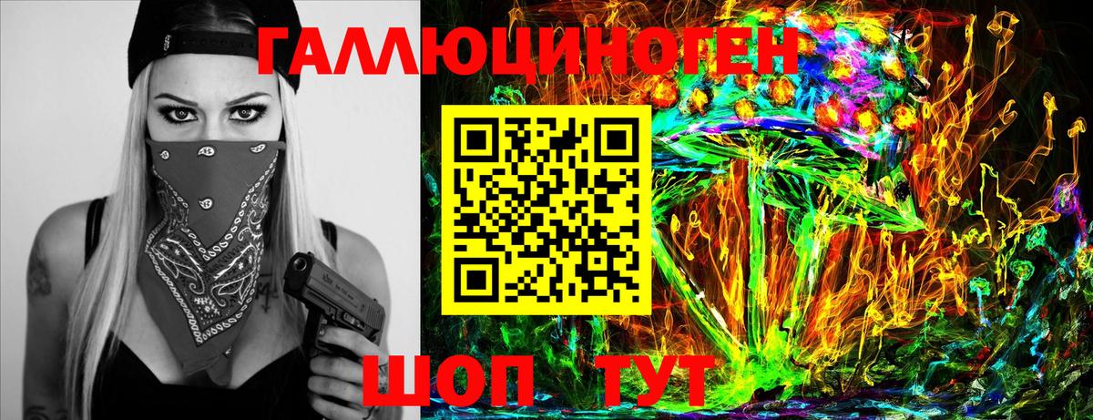 Псилоцибиновые грибы Psilocybine cubensis Дубна