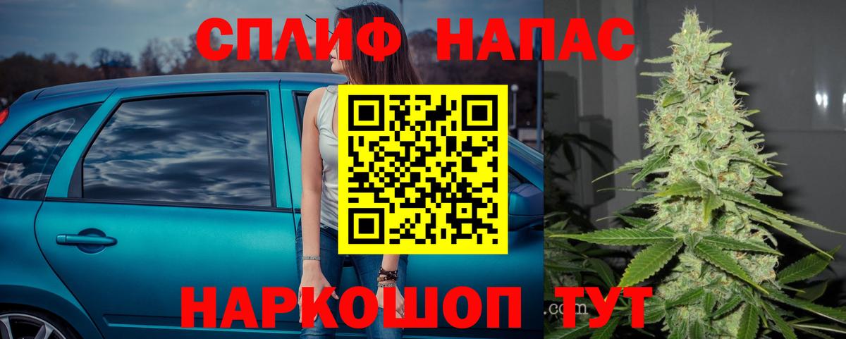 Конопля MAZAR Дубна